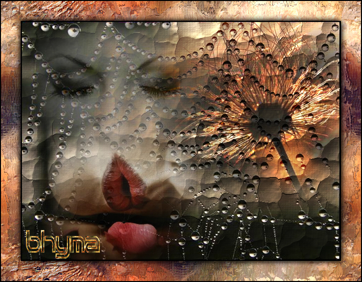 gotas