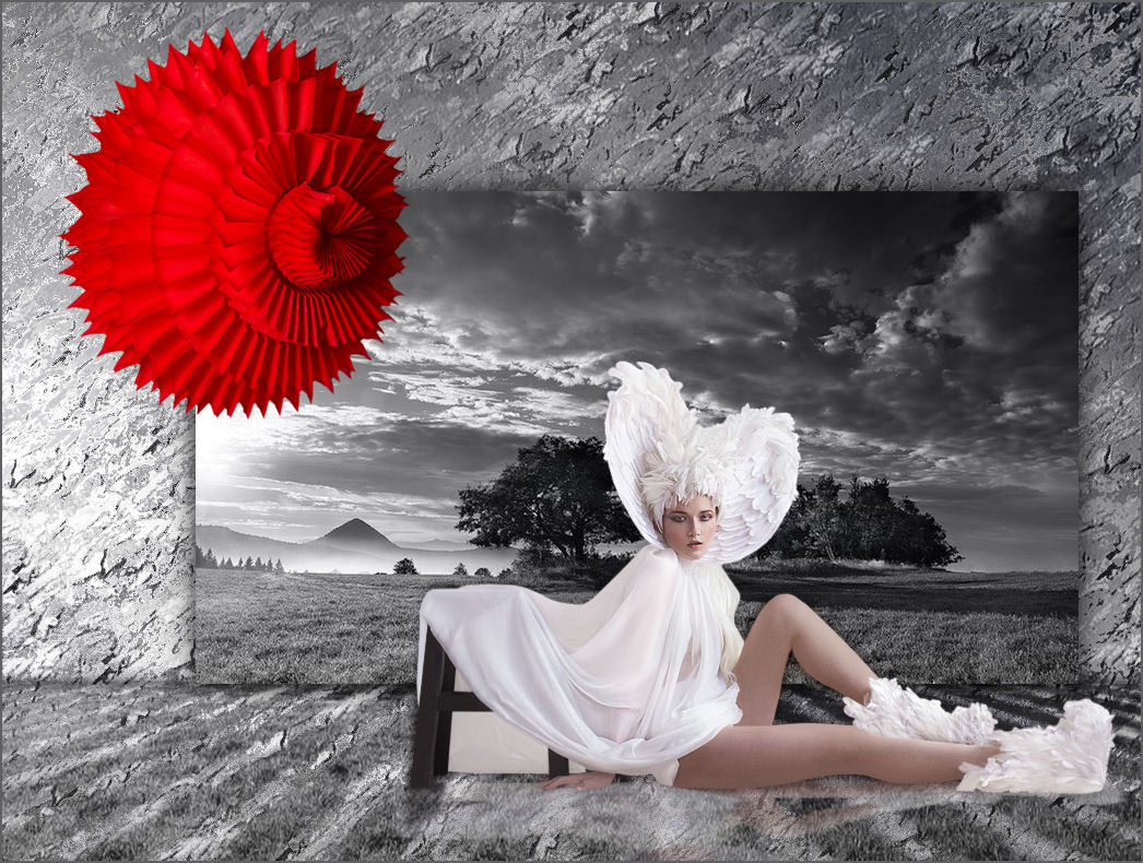 pompom